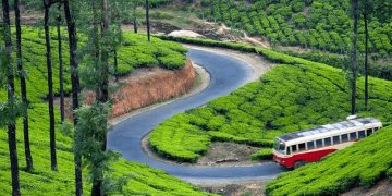 Family Getaway 6 Days Cochin, Munnar, Thekkady and Alleppey Trip Package