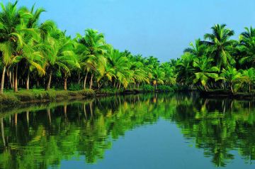 Pleasurable 4 Days 3 Nights Munnar, Alleppey with Cochin Trip Package