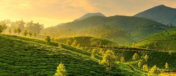 Pleasurable 4 Days 3 Nights Munnar, Alleppey with Cochin Trip Package