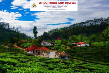 Family Getaway 4 Days 3 Nights Munnar, Alleppey with Cochin Tour Package