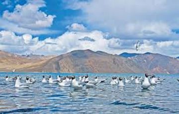 Beautiful Leh Tour Package for 4 Days