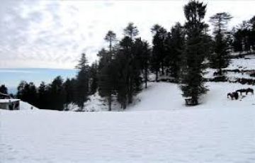 Magical 5 Days Shimla, Manali with Delhi Holiday Package