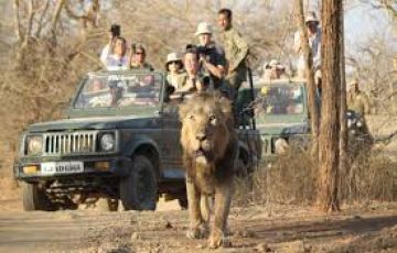 7 Days 6 Nights Gir Holiday Package