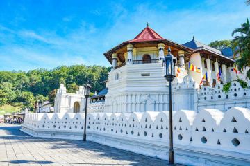 Experience 4 Days Katunayaka to Kandy Tour Package