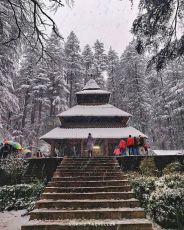 Magical 5 Days 4 Nights Delhi with Shimla Trip Package