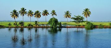 5 Days 4 Nights Alleppey Vacation Package