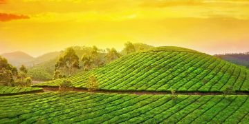 5 Days 4 Nights Thekkady, Alleppey and Munnar Tour Package