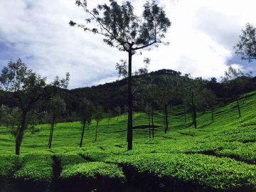 Memorable 2 Days Munnar Holiday Package