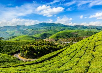 5 Days 4 Nights Munnar Vacation Package