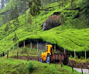 6 Days 5 Nights Thekkady Tour Package