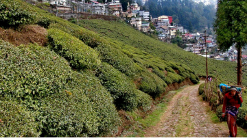 Ecstatic 4 Days New Delhi to Mirik Trip Package