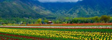 Magical Srinagar Tour Package for 2 Days 1 Night from New Delhi