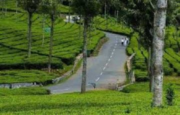 Family Getaway 3 Days Ooty Holiday Package by Monika Tours And Travels