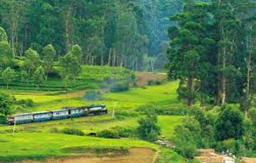 Family Getaway 3 Days Ooty with Coonoor Trip Package