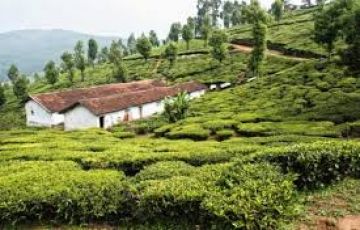 3 Days 2 Nights Ooty and Kodaikanal Trip Package