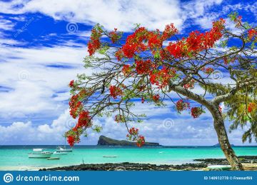 Pleasurable 7 Days Mauritius with New Delhi Trip Package