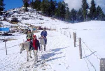 Family Getaway 3 Days 2 Nights Shimla, Kufri with New Delhi Holiday Package