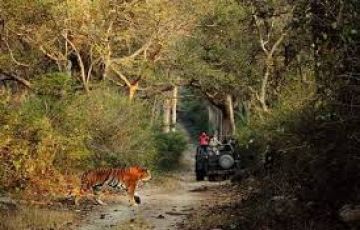 Best 2 Days Jim Corbett Trip Package