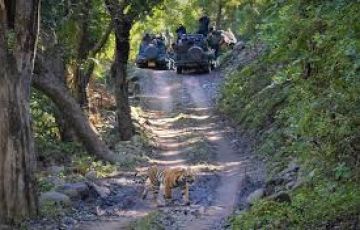 Pleasurable 3 Days 2 Nights Jim Corbett Trip Package