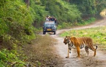 Ecstatic Jim Corbett Tour Package for 3 Days