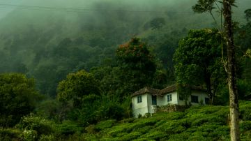 Heart-warming 4 Days New Delhi to Munnar Trip Package