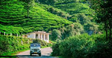 Best 6 Days New Delhi to Munnar Tour Package