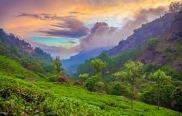 Ecstatic 5 Days Munnar Vacation Package