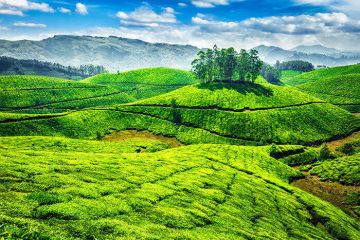 Magical 4 Days New Delhi to Munnar Tour Package