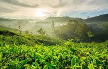 Heart-warming 3 Days Munnar and New Delhi Vacation Package