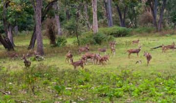 Amazing 4 Days Dharamshala to Mcleodganj Tour Package