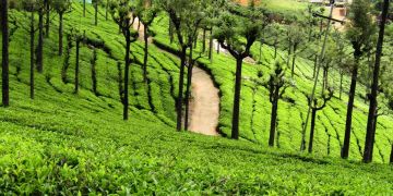 Heart-warming 5 Days New Delhi to Ooty Vacation Package