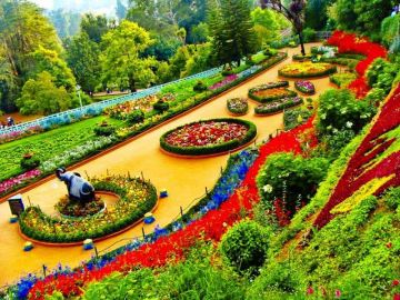 Experience 3 Days New Delhi to Ooty Tour Package