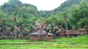 Hatamin Island - Labuan Bajo Friends Tour Package for 2 Days