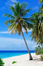 Pleasurable 4 Days 3 Nights Port Blair Beach Vacation Package