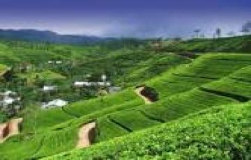 Best 3 Days Srilanka Tour Package