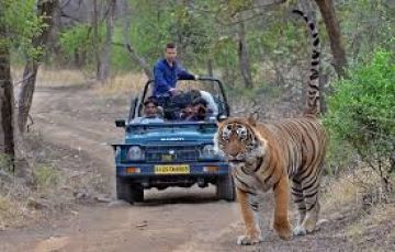 Pleasurable 2 Days 1 Night jim corbett Tour Package