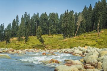 Memorable 8 Days 7 Nights gulmarg Holiday Package