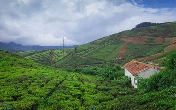 5 Days ooty, kodaikanal and bangalore Honeymoon Vacation Package