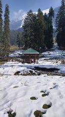 Magical 4 Days 3 Nights srinagar, gulmarg and pahalgam Holiday Package