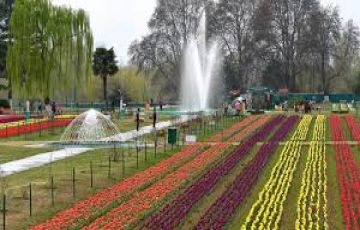 4 Days srinagar, gulmarg with pahalgam Friends Trip Package