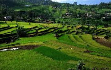 Beautiful 6 Days delhi to ranikhet Tour Package