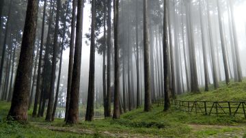 Pleasurable 4 Days darjeeling Hill Stations Holiday Package