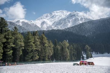 5 Days 4 Nights Srinagar Tour Package by Patron tour and travels