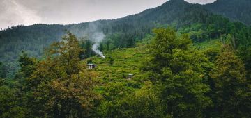 5 Days 4 Nights Dalhousie Tour Package by Viral Yatra