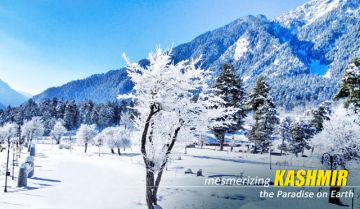 Mesmerizing Kashmir Package by JM Tours & Travels