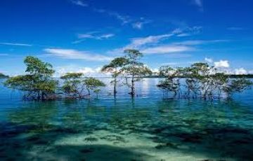 4 Days 3 Nights Port Blair Tour Package by Andaman Booking