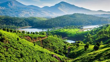 Beautiful 4 Days munnar Tour Package by tripguru4you