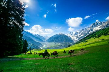 5 Days 4 Nights Srinagar Tour Package by kashmirtravelsite