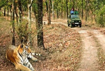 2 NIGHT 3 DAYS CORBETT PACKAGE HONEYMOON PACKAGE