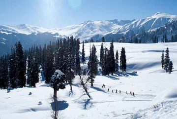 7 Days 6 Nights Srinagar Holiday Package by TRIP TOURS